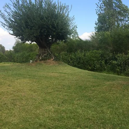 Serra